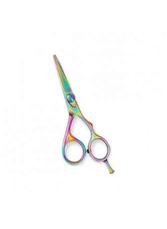 Professional Hair Cutting Scissors